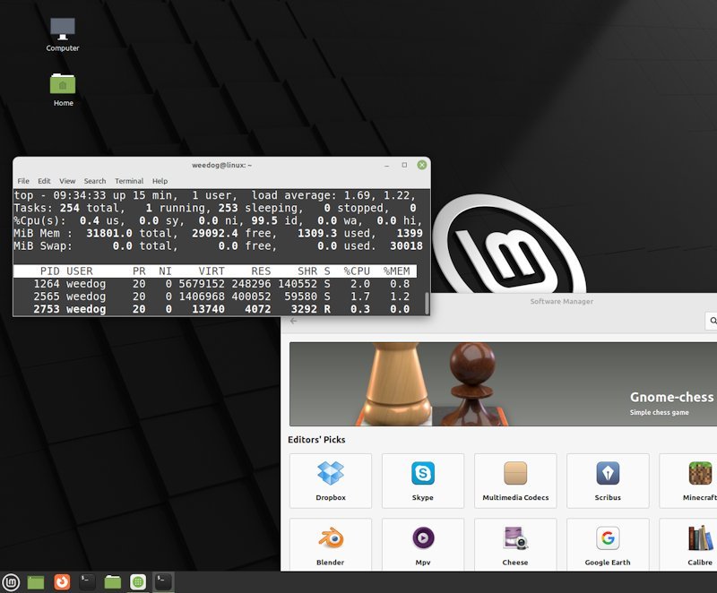 WDL_mintCin_desktop.jpg